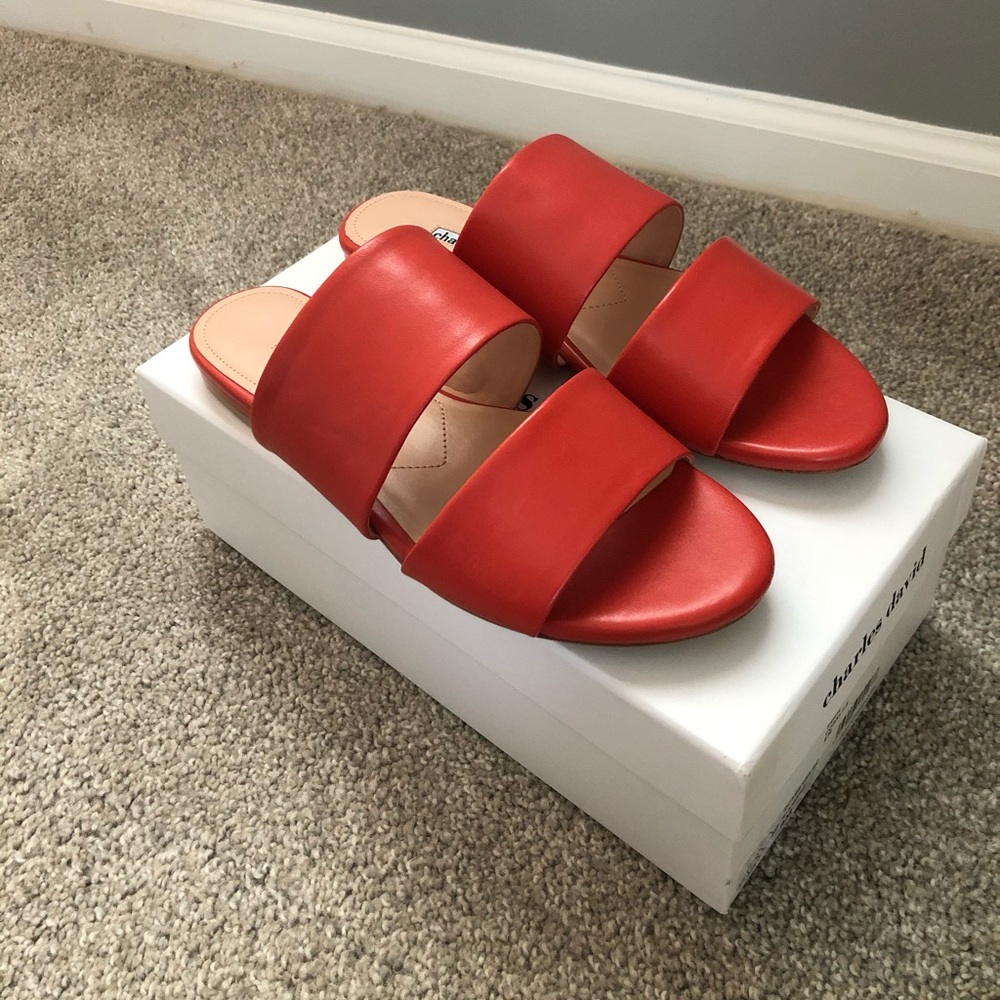 Charles David, Coral Sandal, Size 9 Women’s.